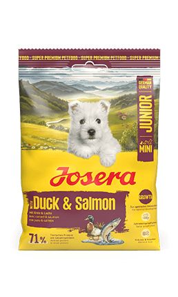 Mini Junior Duck & Salmon