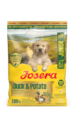 Junior Duck & Potato