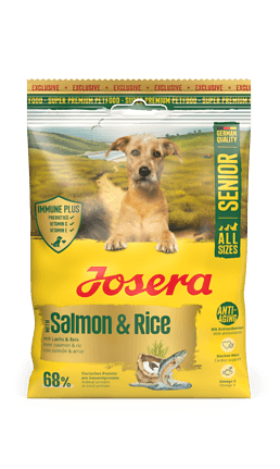 Senior Salmon & Rice