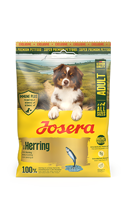 Herring