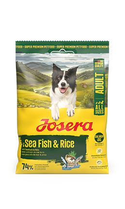 Sea Fish & Rice