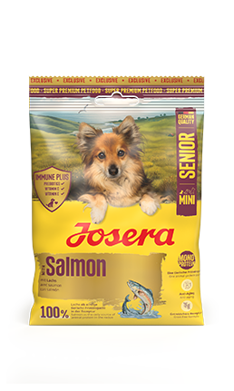Mini Senior Salmon